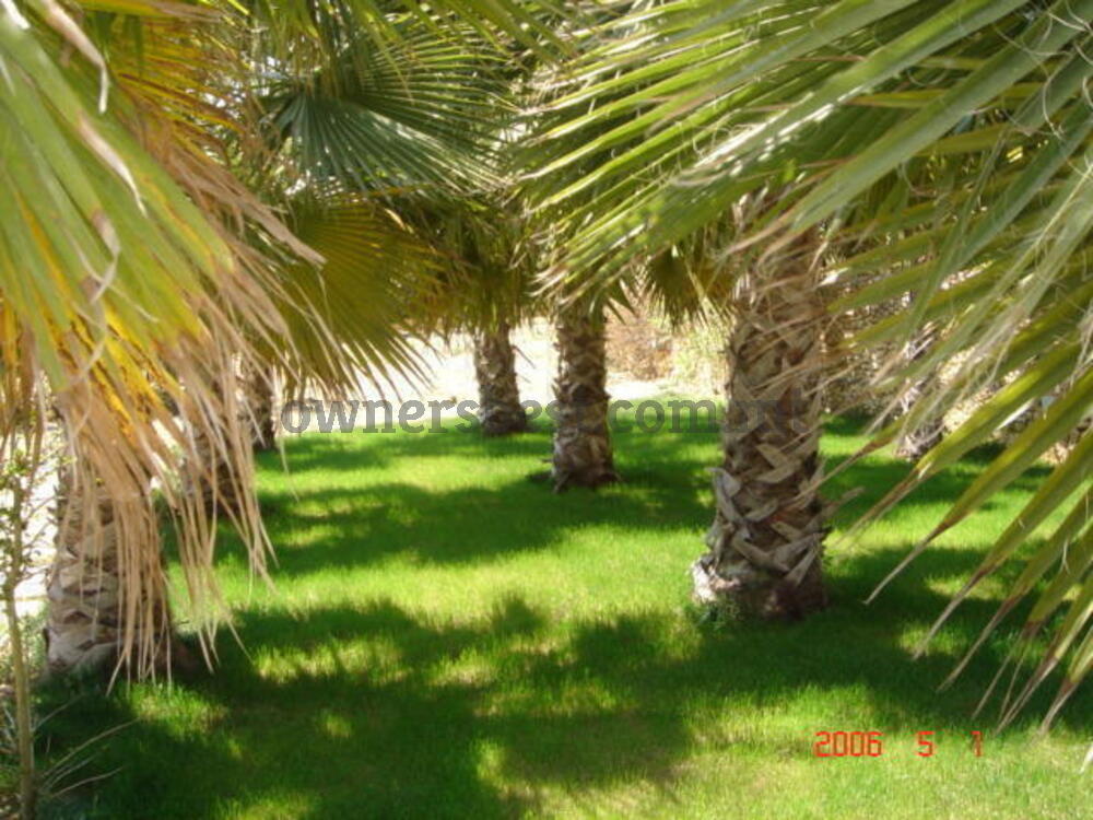 farmhouse-in-bahrija