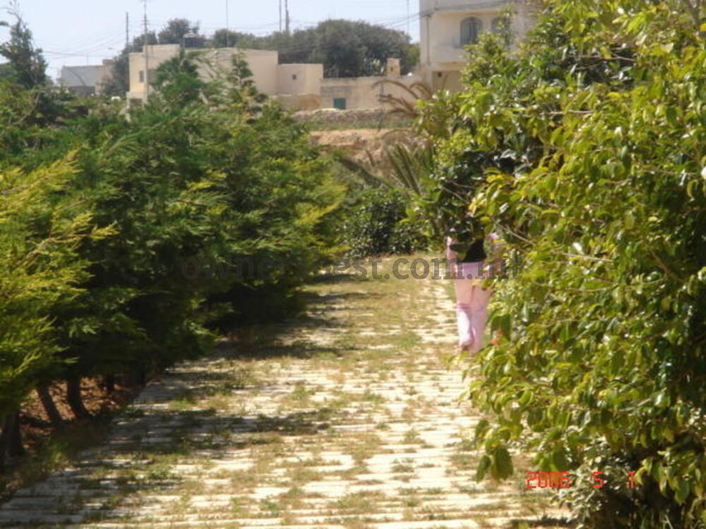 farmhouse-in-bahrija