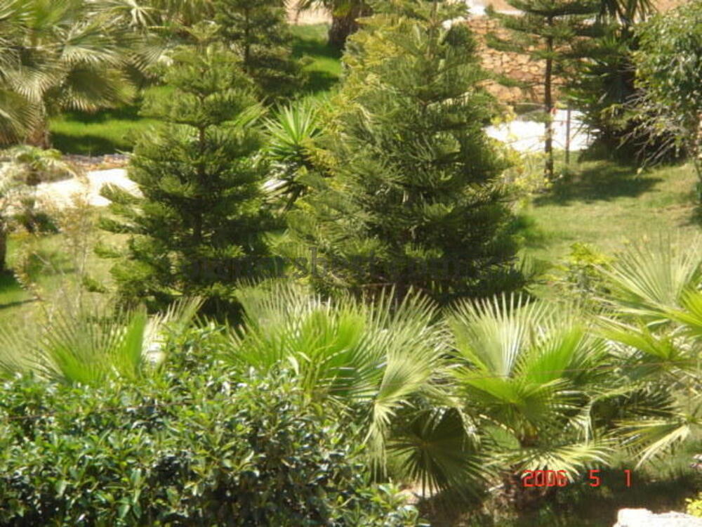 farmhouse-in-bahrija