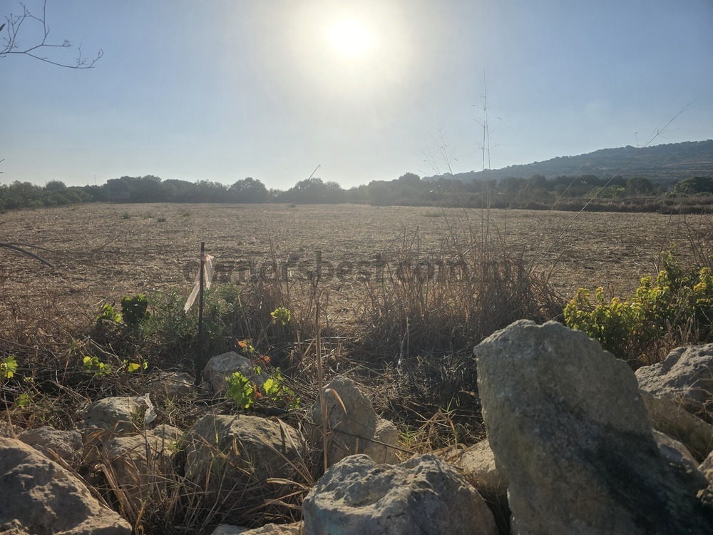 land-in-mgarr