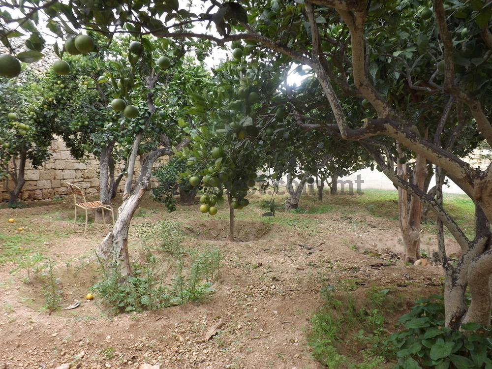 terraced-house-in-zebbug