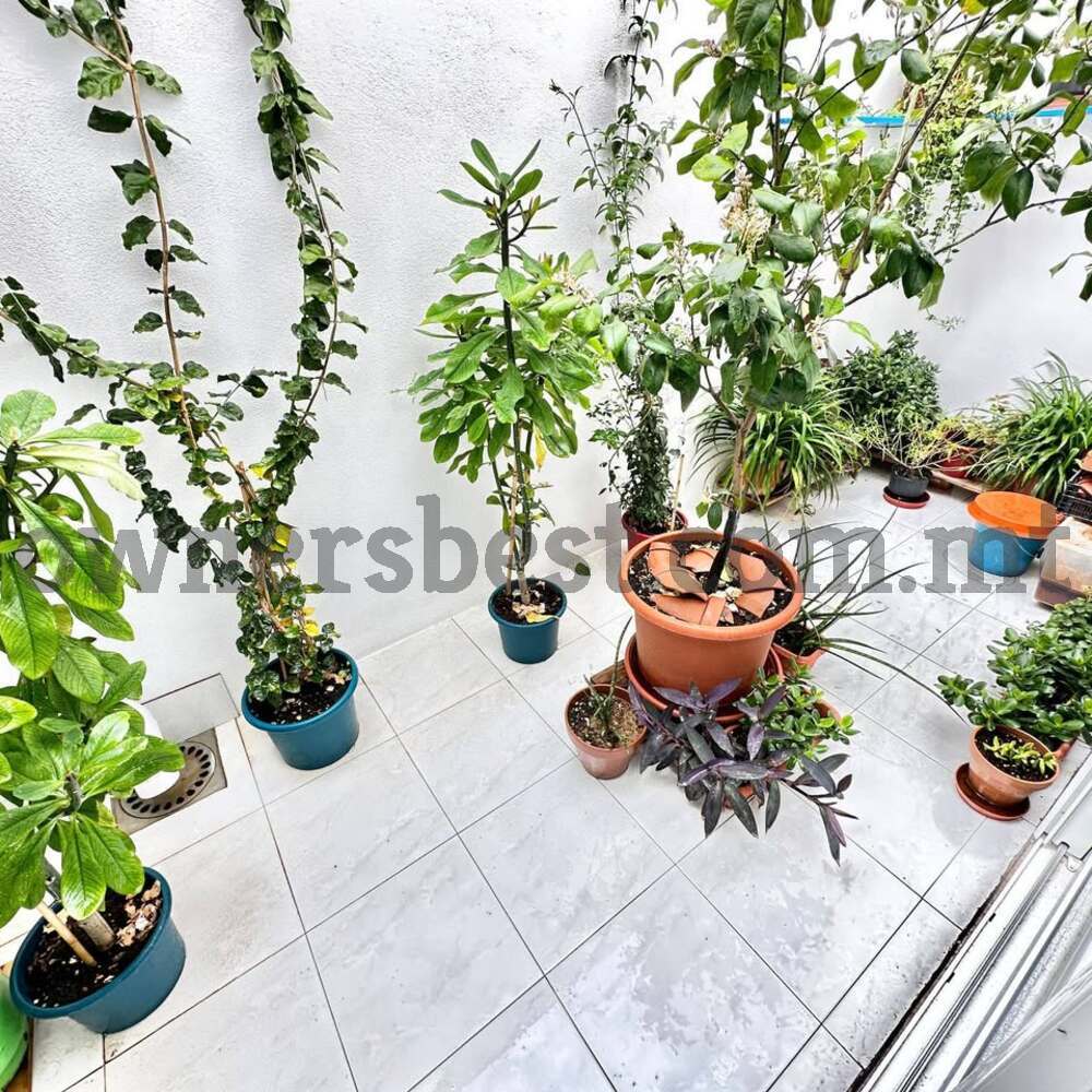 apartment-in-rabat