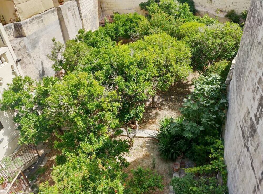terraced-house-in-zebbug