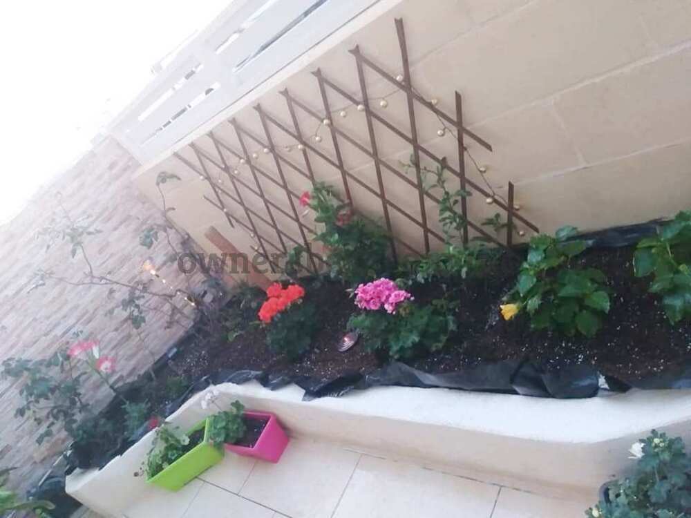 maisonette-in-zejtun