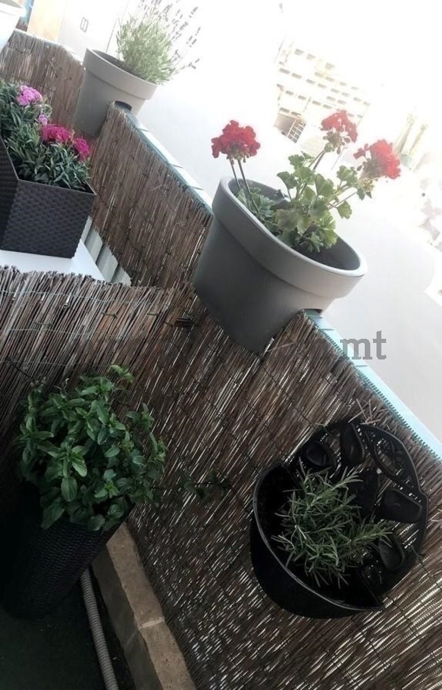 apartment-in-rabat