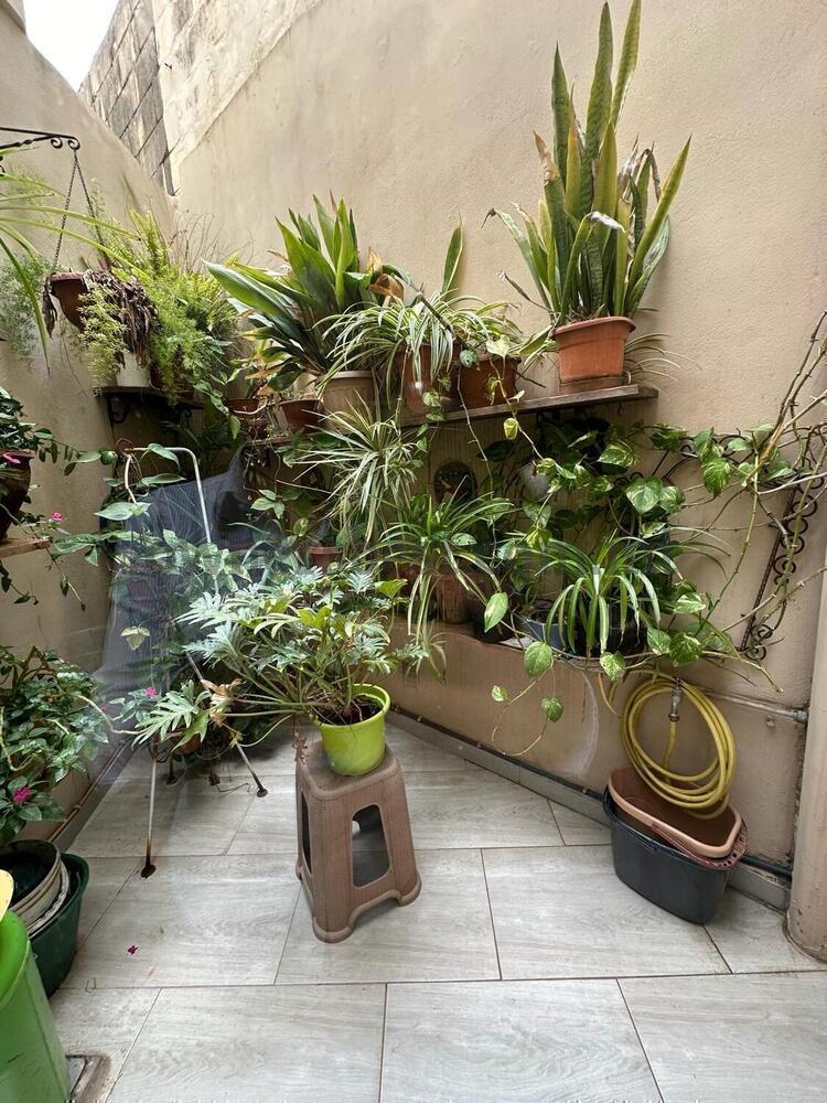 townhouse-in-luqa