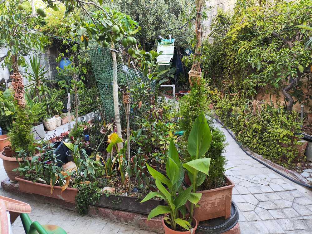 maisonette-in-balzan