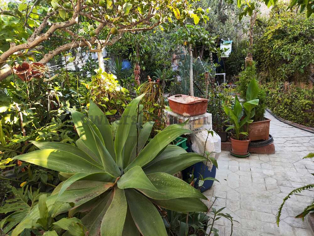 maisonette-in-balzan