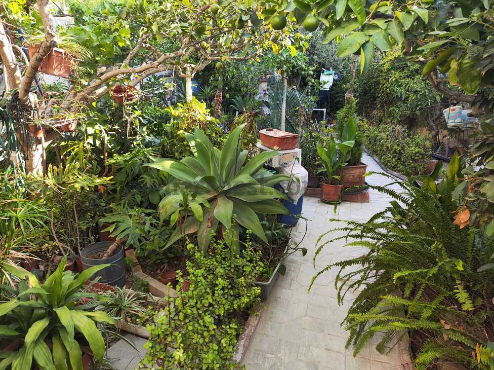 maisonette-in-balzan