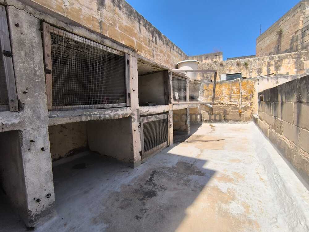 house-of-character-in-qormi