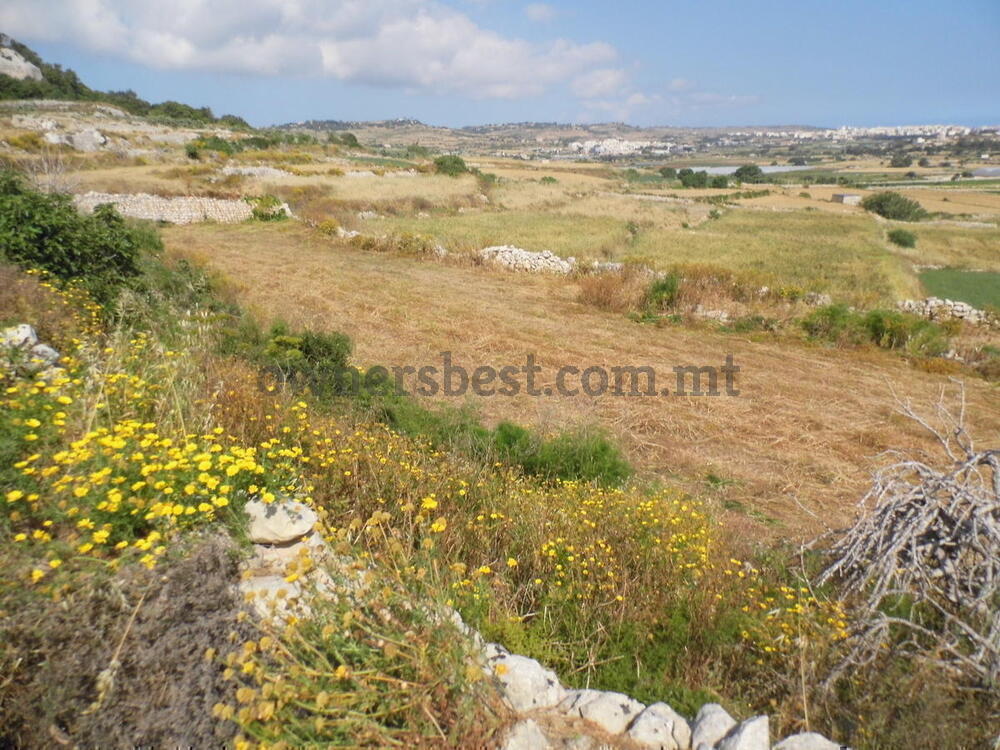 Owner's Best - Land in Mosta - detail