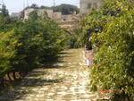 farmhouse-in-bahrija