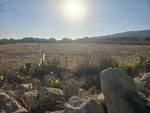 land-in-mgarr