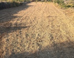 land-in-mgarr
