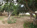 terraced-house-in-zebbug