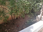 terraced-house-in-zebbug