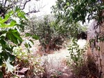 terraced-house-in-luqa