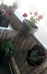 apartment-in-rabat