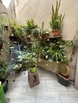 townhouse-in-luqa