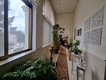 apartment-in-mtarfa