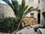house-of-character-in-naxxar