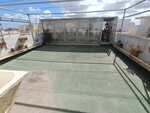 maisonette-solitary-in-qormi